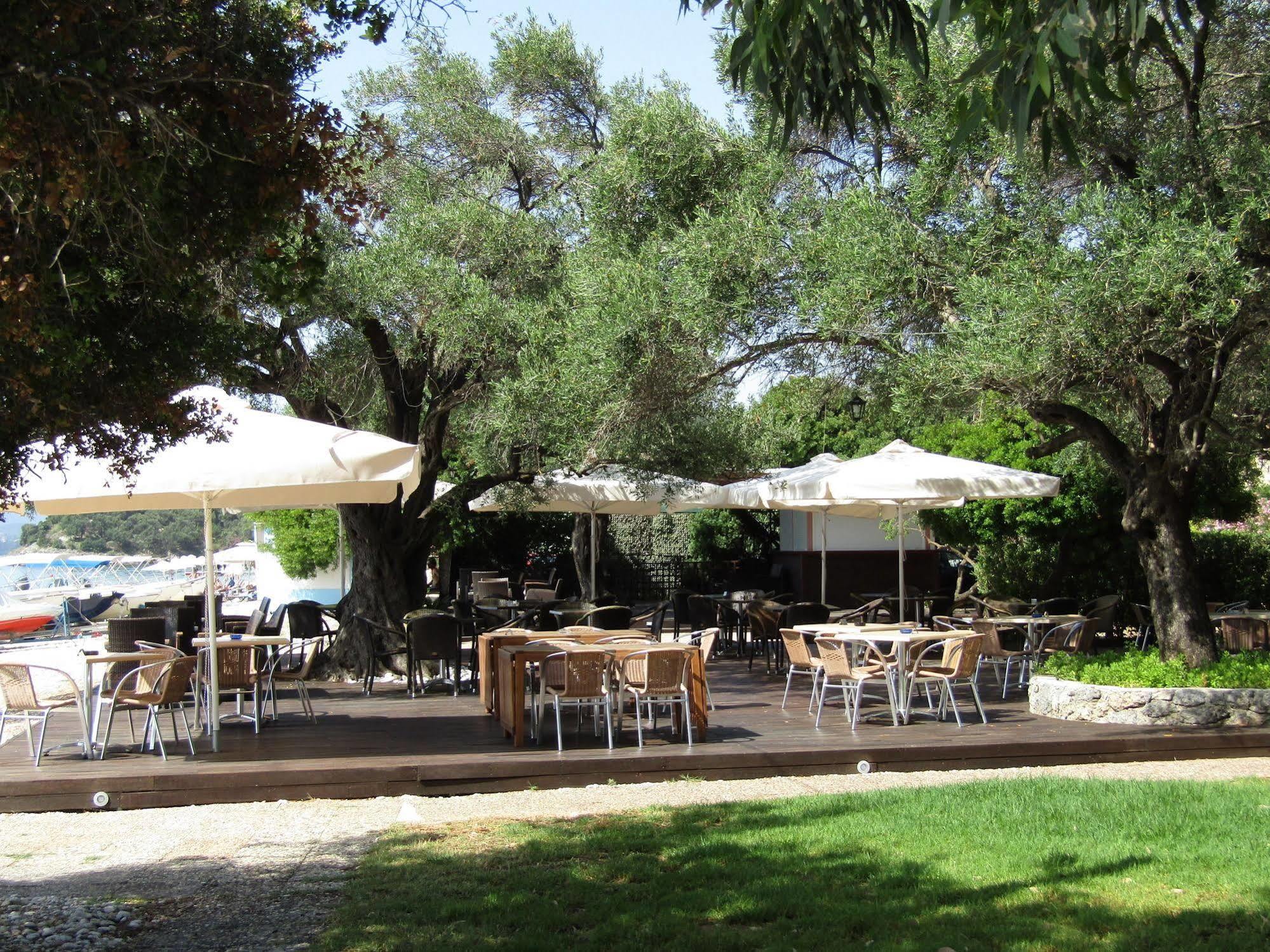 Barbati Beach Holiday Apartment, Corfu,Greece Esterno foto