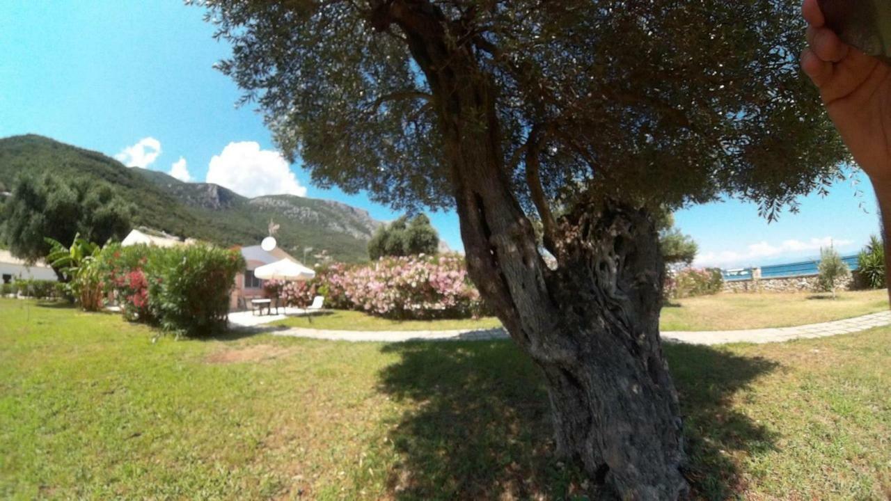 Barbati Beach Holiday Apartment, Corfu,Greece Esterno foto